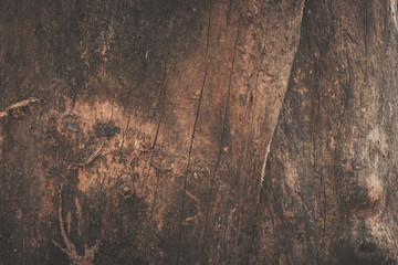 old wood background