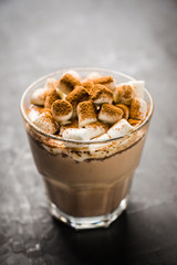 Hot Chocolate drink with marshmallow and cinnamon in old-fashioned glass. Selective focus.