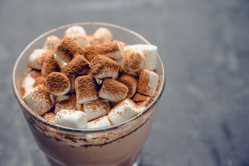 Hot Chocolate drink with marshmallow and cinnamon in old-fashioned glass. Selective focus.