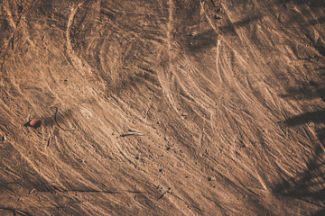 old wood background