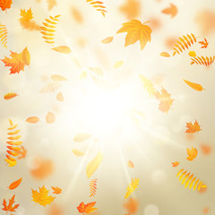 Fototapeta na wymiar Beautiful autumn background with maple autumn leaves and delicate sun. EPS 10