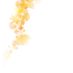 Obraz na płótnie Canvas Autumn decoration, composition with maple leaves. EPS 10