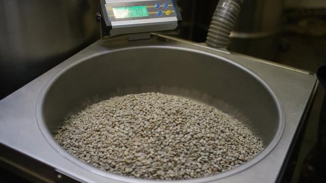 Raw unroasted coffee beans being put into machinery in a roastery for production