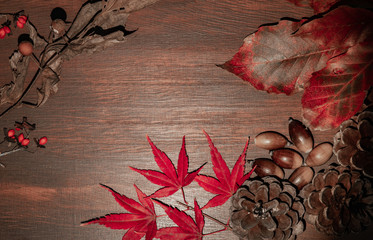 秋イメージのテーブルフォト