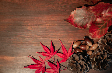 秋イメージのテーブルフォト