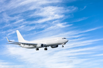 Fototapeta na wymiar Airplane in the blue sky and cirrus cloud.