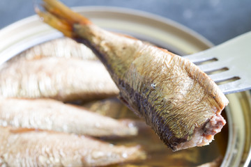 Sardines fish in can in oil closeup
