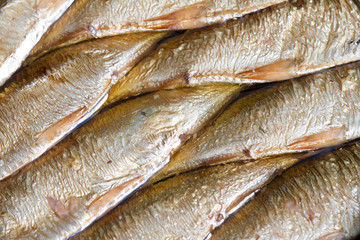 Sardines fish in can in oil closeup