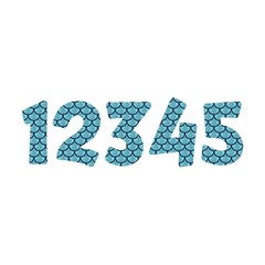 Mermaid scales numbers vector illustration