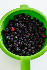 Bowl filled with blackberries