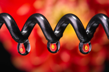 Refraktion einer Blüte in einem Wassertropfen