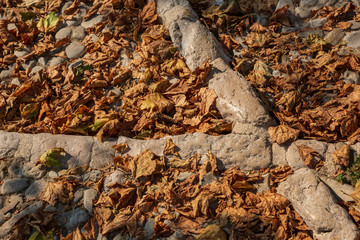 Dried autumn leaves on a cobblestone street in a medieval village in France
