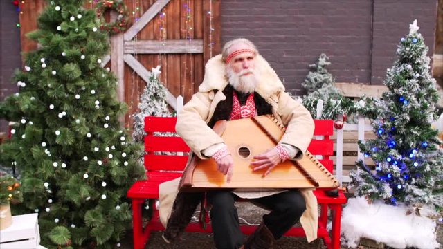 White bearded old man sits on the bench near Christmas trees, plays dulcimer