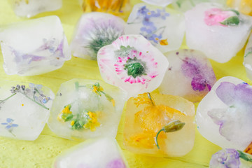 ice with frozen flowers, beauty, personal care
