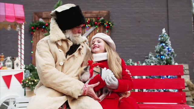 Cute girl in red coat is holding mini pig , and listenning her grandpa with a smile. Her whitebearded grandfather is hugging her and telling stories. Christmas fair decorations