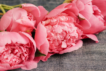 Peonies on a wooden background, Valentine's Day, Mother's Day, International Women's Day