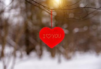 The symbol of love hangs on a tree branch in the winter forest