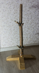Broken new year tree after the holiday, the concept of careful handling, love and care of nature