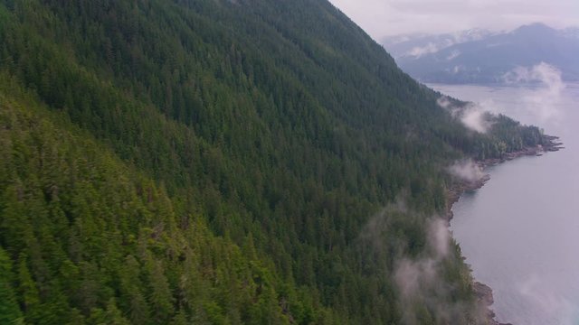 Alaska circa-2018. Flying over forested land along Alaska's Coast. Shot from helicopter with Cineflex gimbal and RED Epic-W camera.