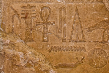 Egyptian ancient hieroglyphs on the stone wall