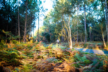 piste cyclabes dans les Landes