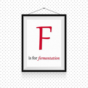 Alcohol expressions ABC in frame hanged on the wall - F letter is for fermentation