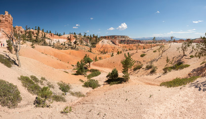 landscape on the bryce canyon in the united states of america