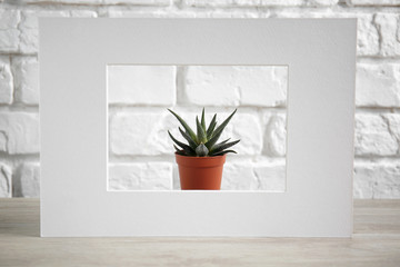 White frame with green plant in pot on wooden table