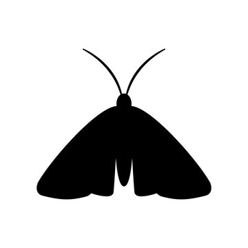 Clothing moth silhouette icon. Clipart image isolated on white background
