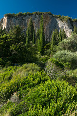 las w Grecji