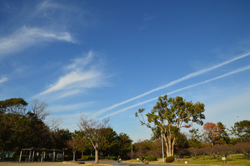 澄み切った空に飛行機雲がクッキリと浮かぶ公園の風景