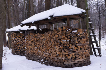 Winter landscape with snow and fir trees. Firewood under a canopy. Firewood for the winter. 