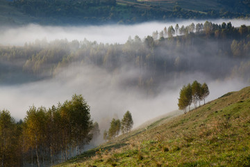 Naklejka na ściany i meble foggy summer landscape in the mountains, Salciua, Romania