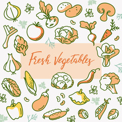 Seamless vector pattern with fresh vegetables. Template for a label with the place for your text. Natural food illustration. Organic nutrition. Design for packaging, menu, kitchen textile.