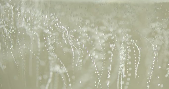 close up perlage vino spumante, Champagne, Prosecco