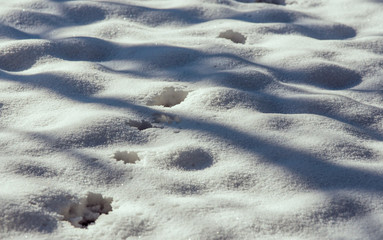 track on snow