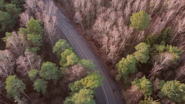 Road in the woods from above. Aerial drone 4k footage