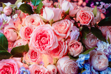 Peony roses and small flowers with an inner glow. Beautiful flower background close-up