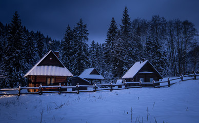 house in winter forest