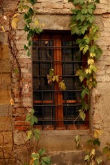 Fototapeta na wymiar window country italian style with foliage