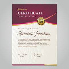 Luxury certificate with gold and red details and a gold medal in the middle.