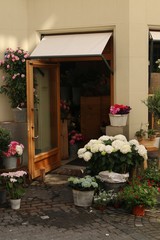 door entrance with flowers and plants