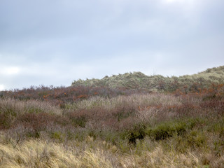 Dune landscape on the island Helgoland