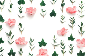 Fototapeten Azalee Spring Background With Soft Pink Azalea Flowers And Green Ivy Leaves  © Metamorphosa