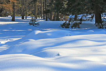 view of the park after a snowfall