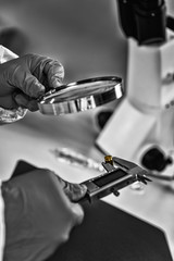 Forensics. Police Expert Examining Evidence