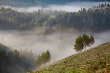 foggy summer landscape in the mountains, Salciua, Romania