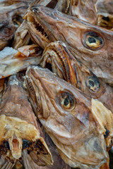 Drying stockfish cod heads in Reine fishing village in Norway