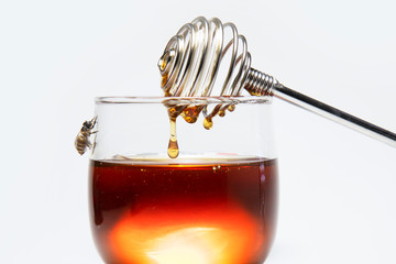Honey and Honey Stick on white background.