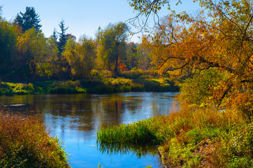 Colorful autumn landscape of wooded banks and wetlands of the Narew river near the town of Pomiechowek in Mazovia region of Poland
